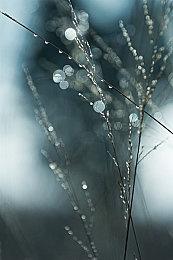 《方舟2》公布最新生物概念图，远古蜘蛛带来恐怖惊吓